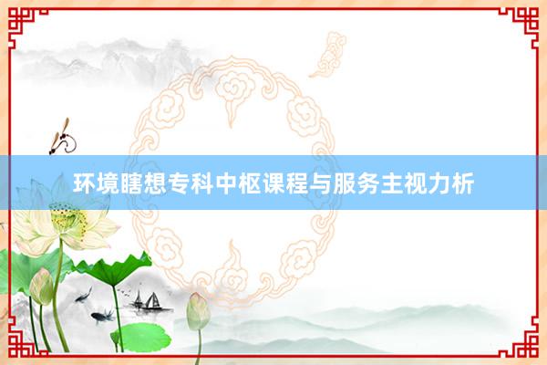 环境瞎想专科中枢课程与服务主视力析